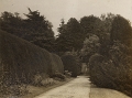 19110000 View of the grounds at Saltmarsh Castle 5